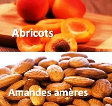 Amandes amères et noyaux d'abricot noyaux d'abricots et intoxications aux cyanures
