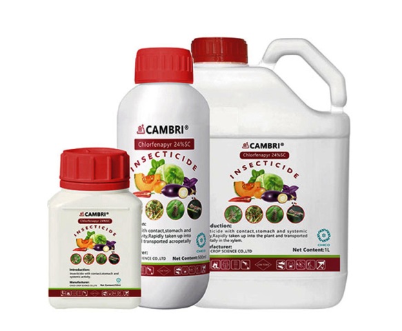 chlorfenapyr insecticide, intoxications aigues